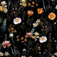 WONDER UNDIES - BIKINI BRIEF